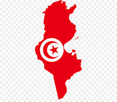 Prediksi Bola Denmark Vs Tunisia