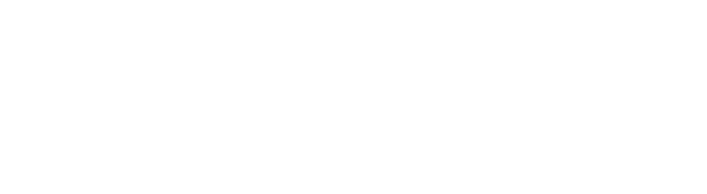 WPSeiten Logo